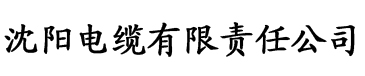 茄子安装视频电缆厂logo